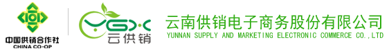 酷游电子商务股份有限公司
